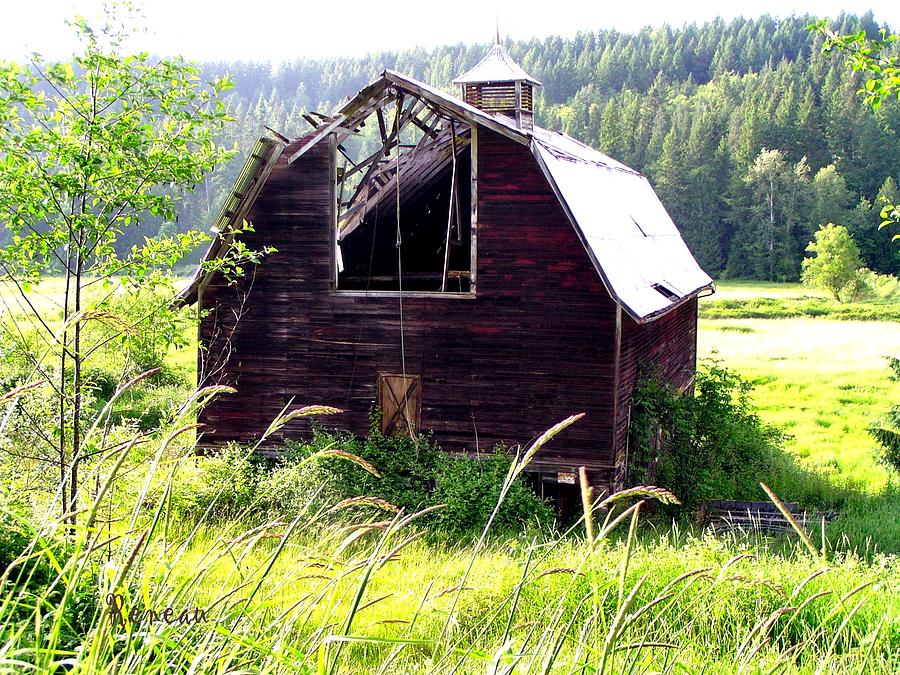 The Ruined Barn Photograph by A L Sadie Reneau