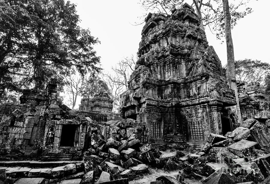 Tree Photograph - The Ruins at Ta Prohm by Julian Cook