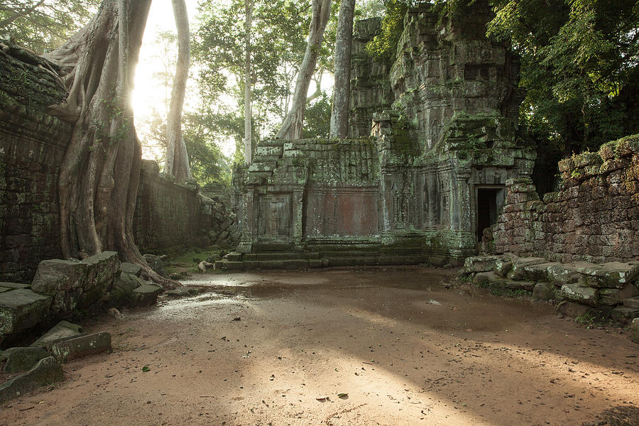 The ruins of Ta Prom Temple, Cambodia Photograph by Elena Aleksandrovna Ermakova