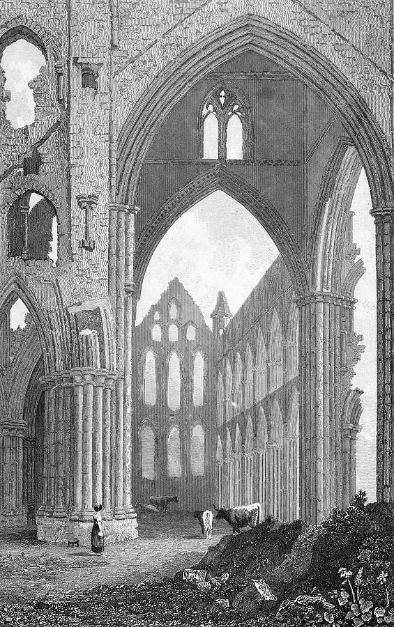 The Ruins Of Whitby Abbey In Yorkshire Drawing by Mary Evans Picture ...