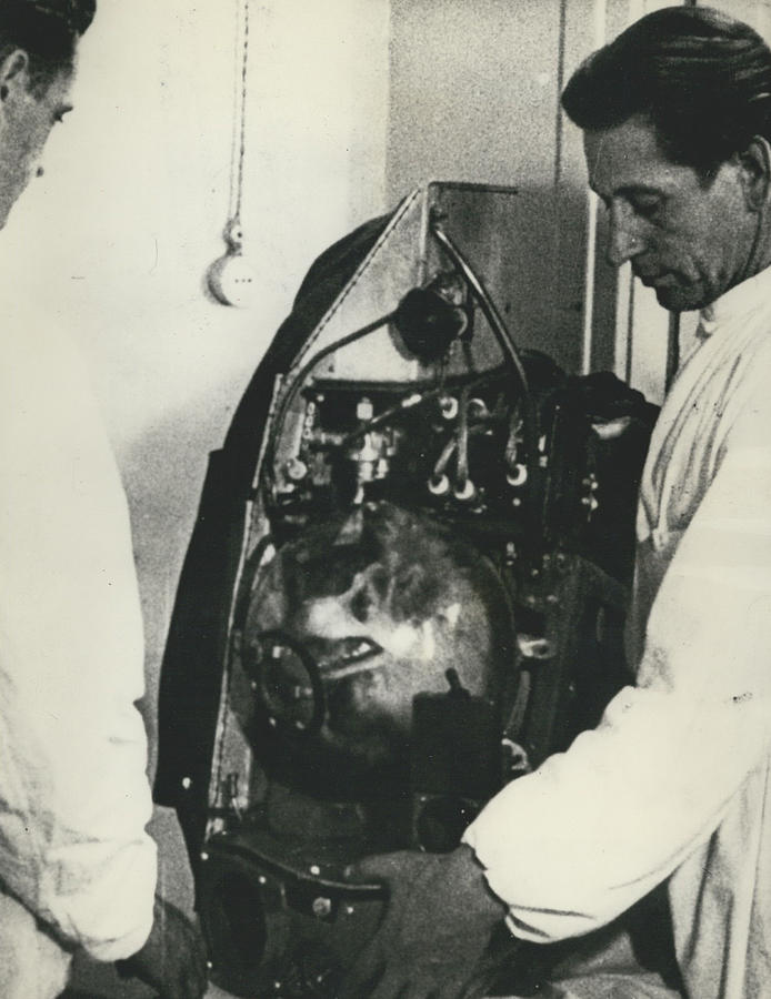 The Russian Satellite Dog Still Races Around The Orbit.. Experts