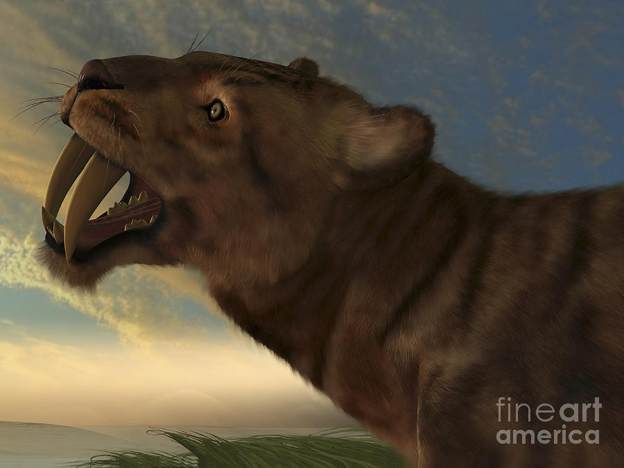Wildlife Digital Art - The Saber-tooth Cat With Dagger Like by Corey Ford