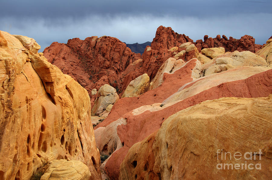 Valley Of Fire Nevada 1 Photograph by Bob Christopher