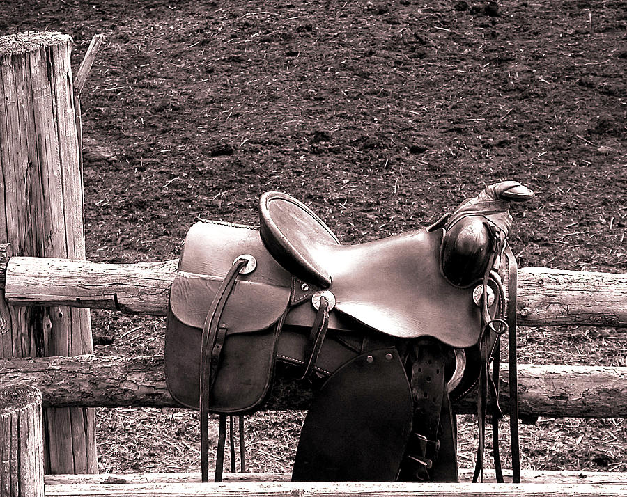 Horse Photograph - The Saddle by Doug Fredericks