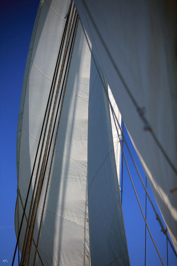 Rope Photograph - The Sails by Karol Livote