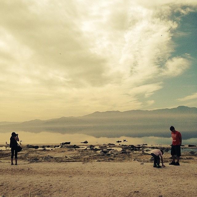 The Salton Sea. 
some Things Are Photograph by Tifanie Chaney