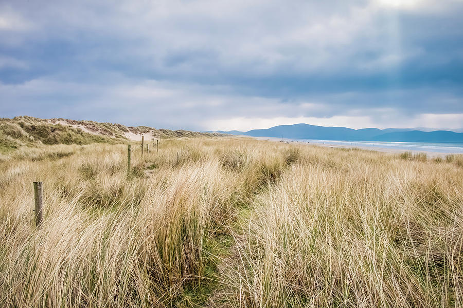 The Sand Dunes Along Inch Beach Photograph by Leah Bignell