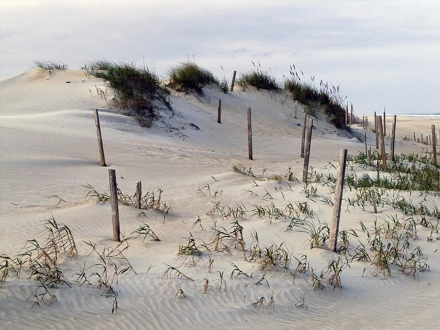The Sands of OBX Photograph by Greg Reed