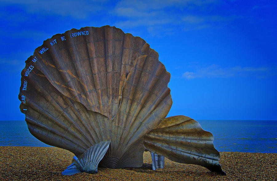 The Scallop Photograph by Chris Thaxter