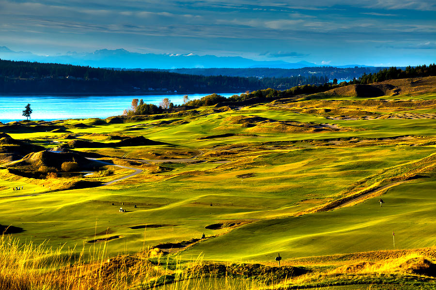 The Scenic Chambers Bay Golf Course - Location of the 2015 U.S. Open Tournament Photograph by David Patterson