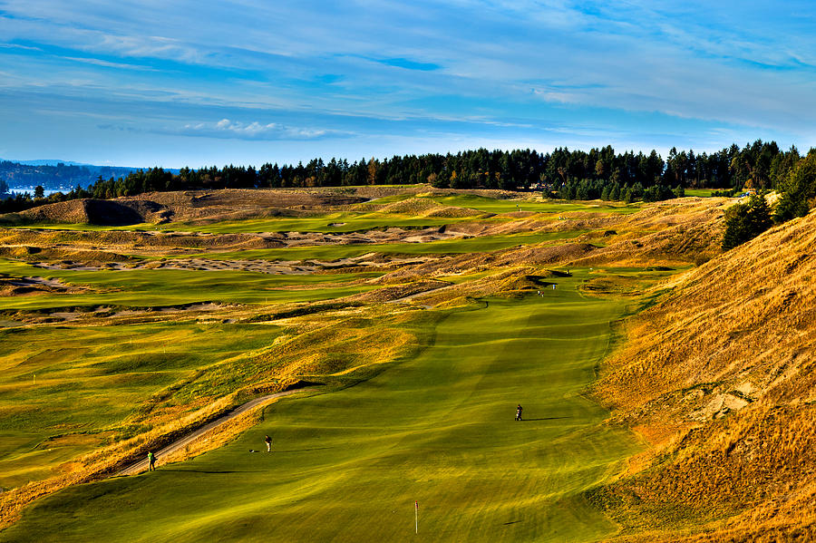 The Scenic Chambers Bay Golf Course V - Location of the 2015 U.S. Open Tournament Photograph by David Patterson