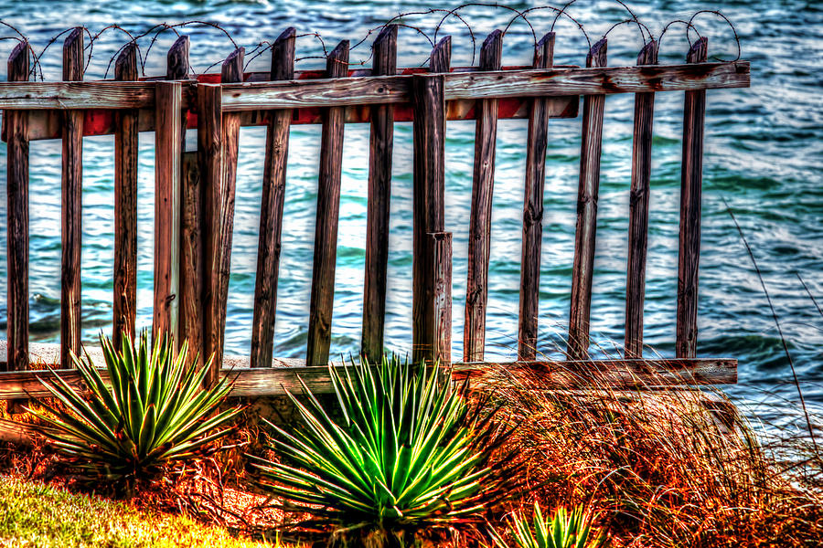 The Sea Fence Siesta Key Fla. Photograph by Tom Prendergast