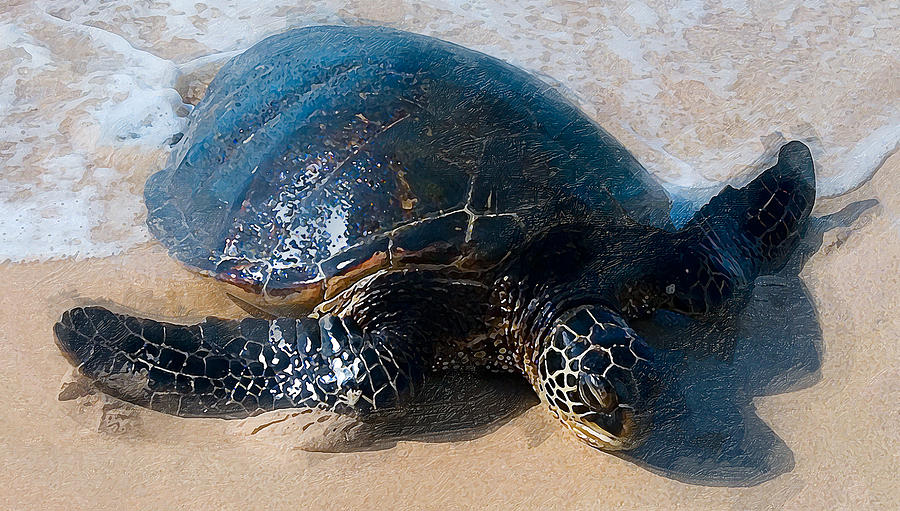 Turtle Photograph - The Sea Turtle by Ron Regalado