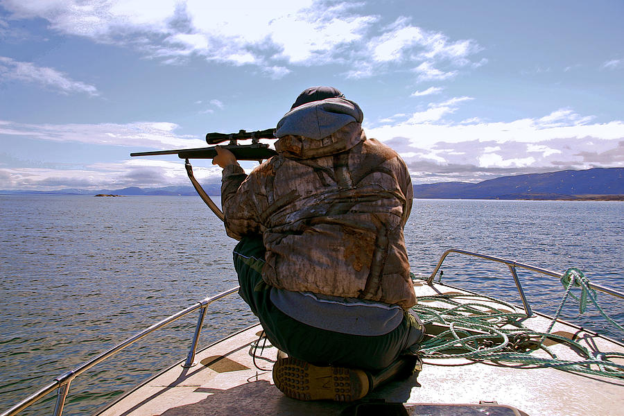 The Seal Hunter Photograph by Douglas White Fine Art America