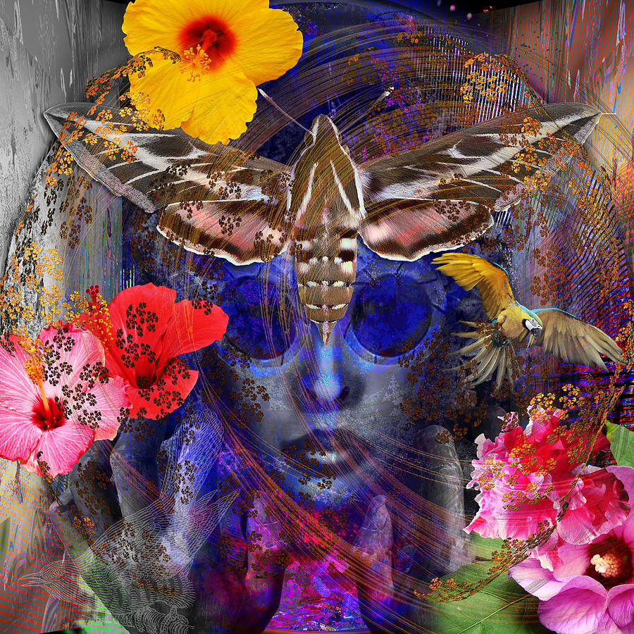 The Search For Hibiscus Life Digital Art