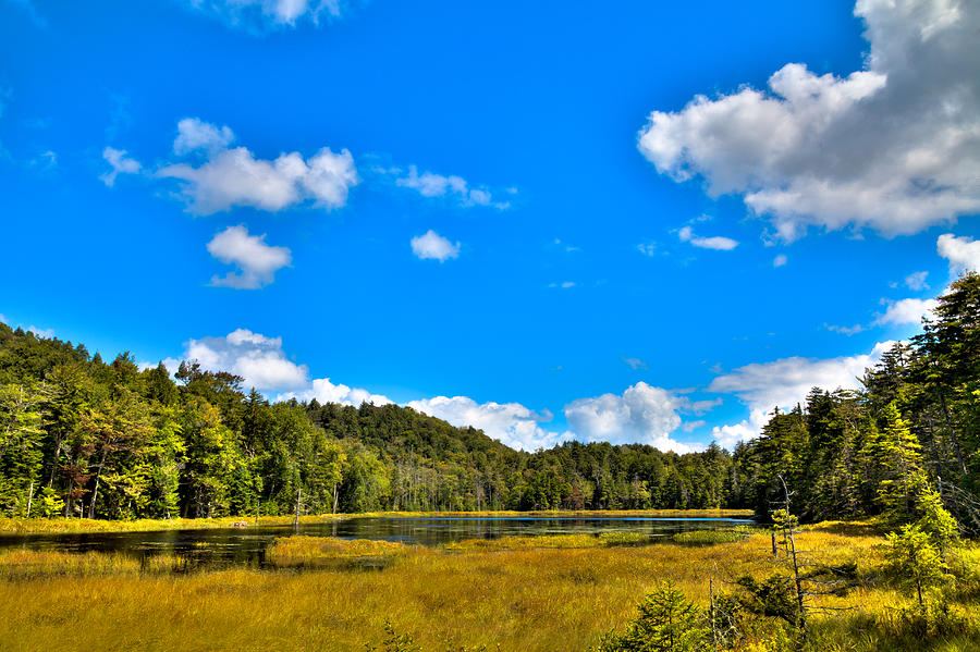 The Secluded Fly Pond Photograph by David Patterson