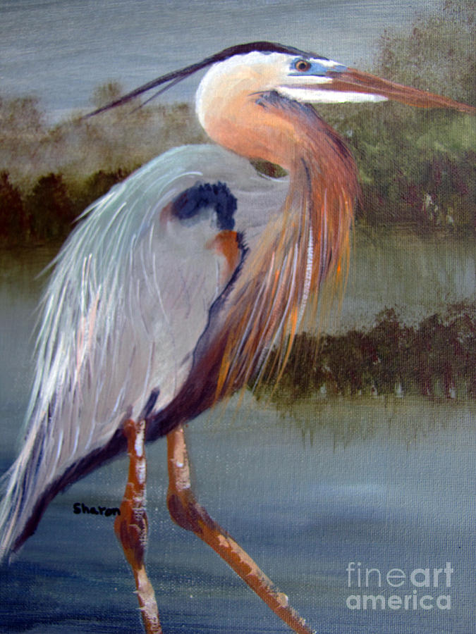 Egret Painting - The Seeker by Sharon Burger