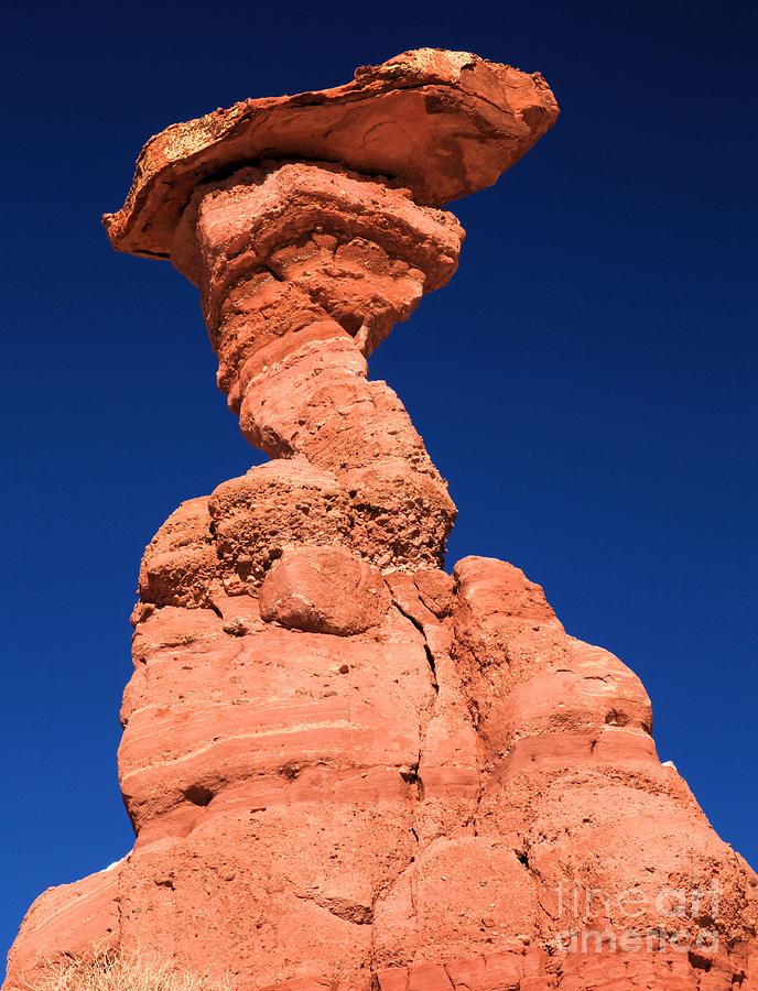 The Serpent Hoodoo Photograph by Adam Jewell