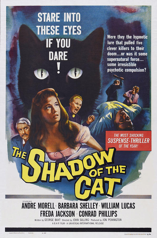 The Shadow Of The Cat, Us Poster Photograph by Everett | Fine Art America