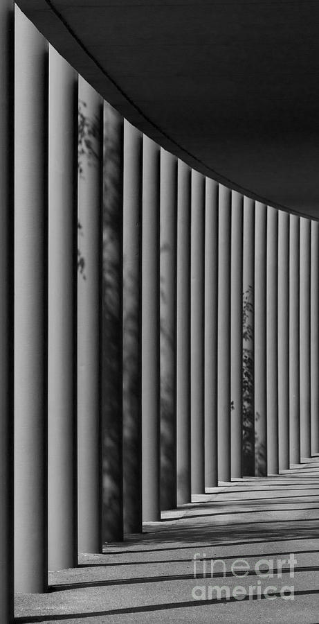 The Shadows and Pillars  Black and White Photograph by Mark Dodd