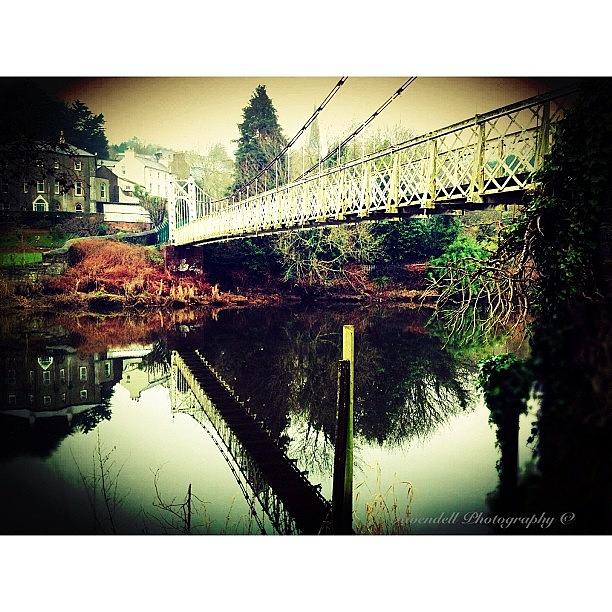 The Shakey Bridge Cork Photograph by Maeve O Connell
