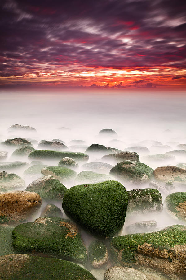 Sunset Photograph - The shape of my heart by Jorge Maia