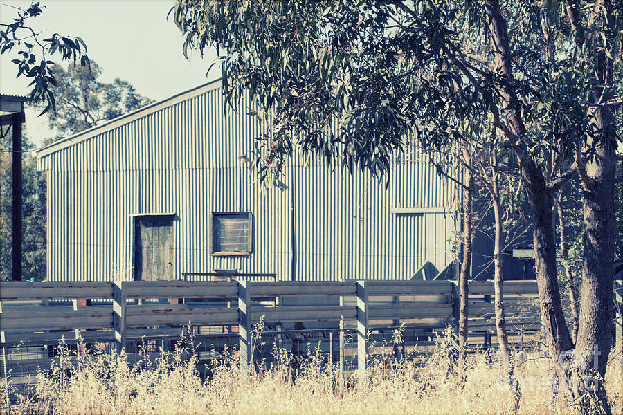 The shearing shed Photograph by Linda Lees