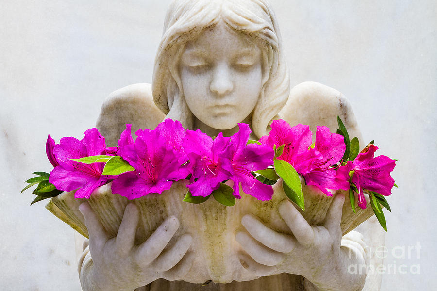 Flower Photograph - The Shell Girl Bonaventure Cemetery Savannah Georgia by Dawna Moore Photography