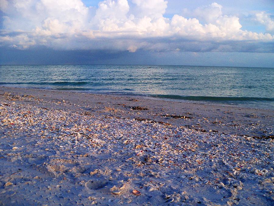 The Shells of Sanibel Photograph by Lindsey Floyd