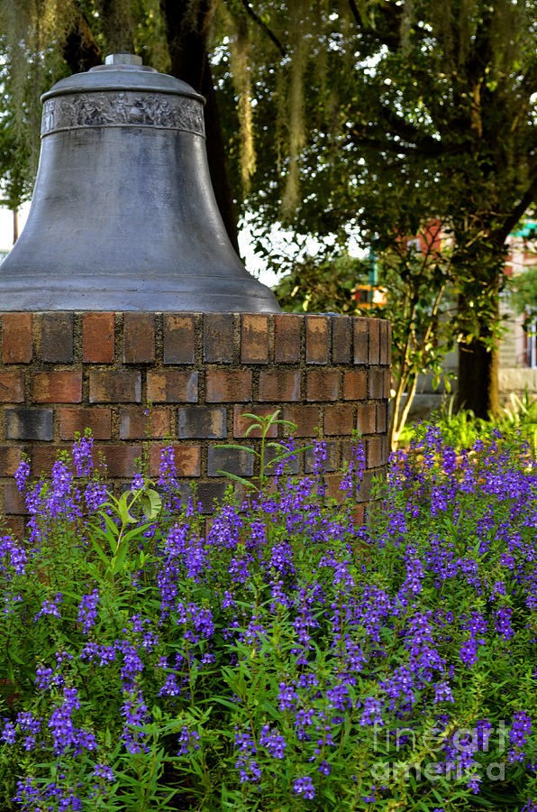 Bainbridge Photograph - The Ships Bell by Debra Johnson Bainbridge Photograph - The Ships Bell by Debra Johnson