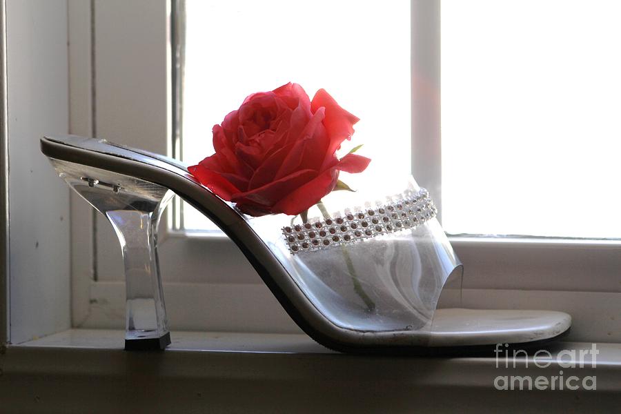 The Shoe Photograph by Michelle Powell