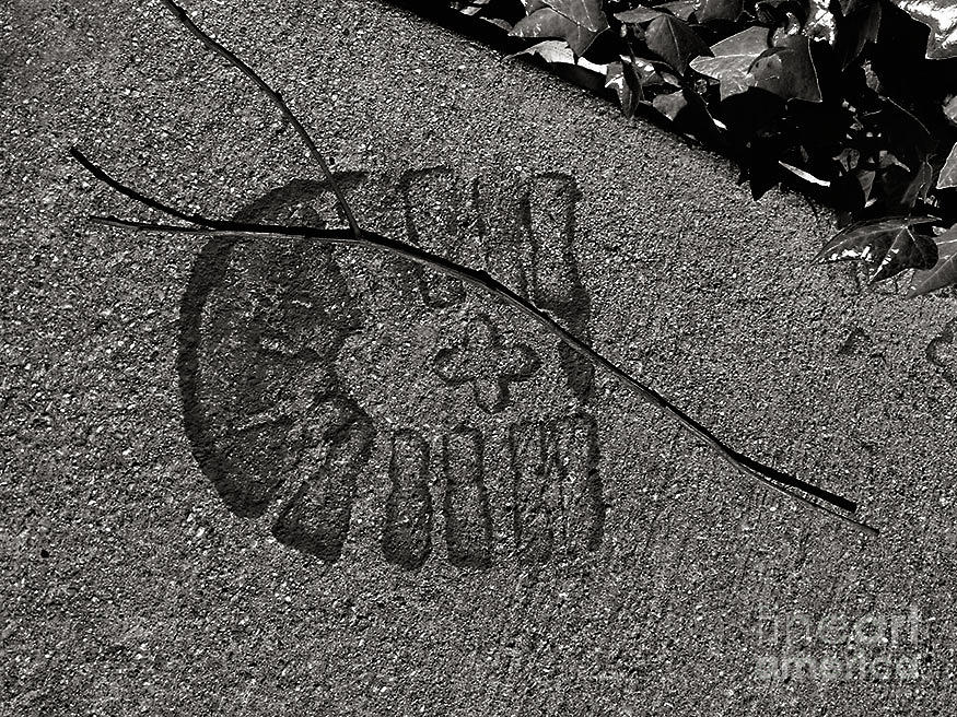 The Shoe Print Photograph by Fei A