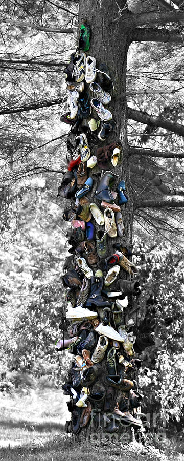 The Shoe Tree Photograph by Lila Fisher-Wenzel
