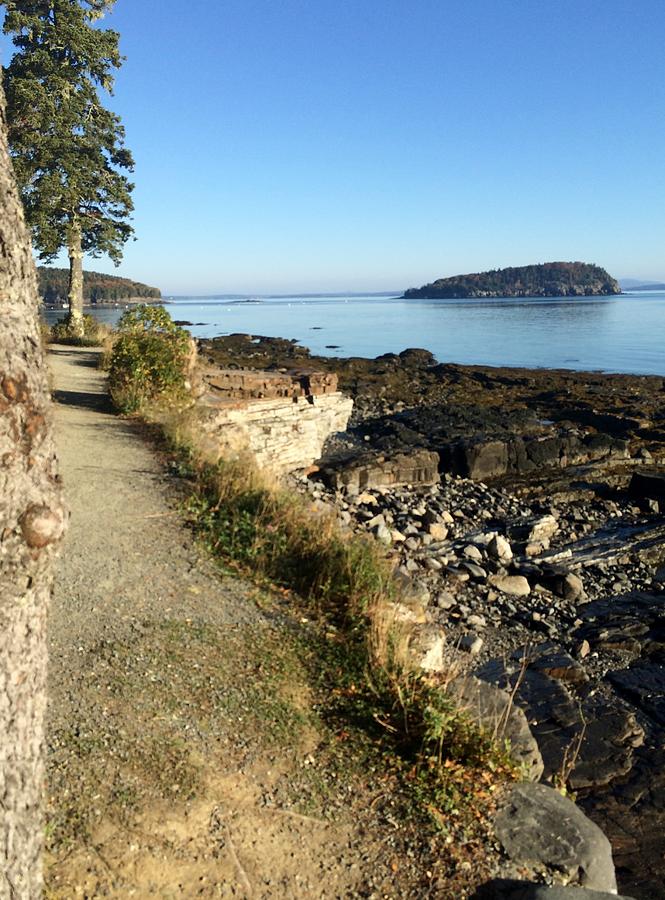 The Shore Path Of Bar Harbor Maine Photograph By Lena Hatch