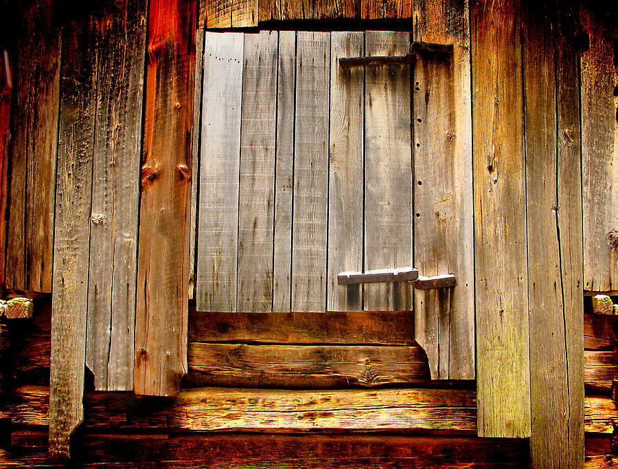 The Side Door Photograph by Michael Eingle