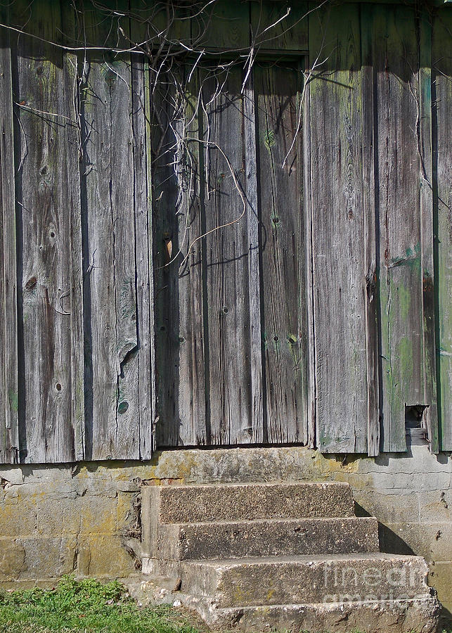 Barn Photograph - The Side Door by Skip Willits