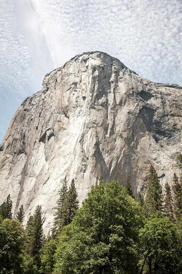 Yosemite National Park Photograph - The Side Of A Cliff Above Trees by Mat Rick Photography