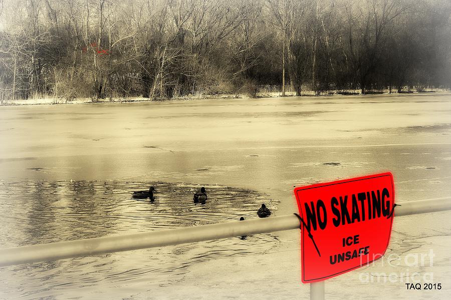 The Sign Red No Skating Photograph by Tami Quigley