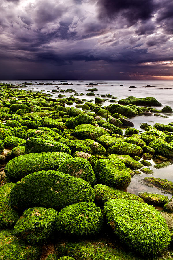 The silence after the storm Photograph by Jorge Maia