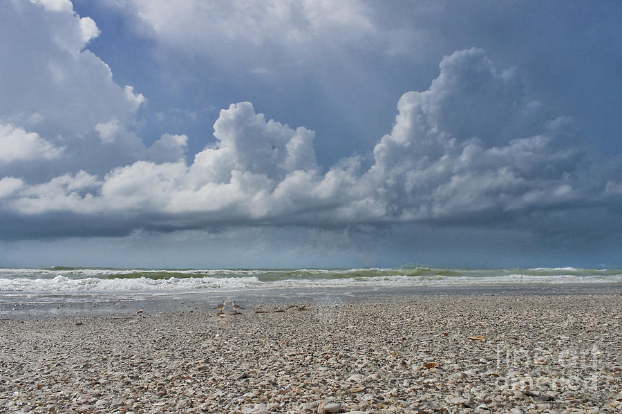 Summer Photograph - The silence before the storm by Maria Ismanah Schulze-Vorberg