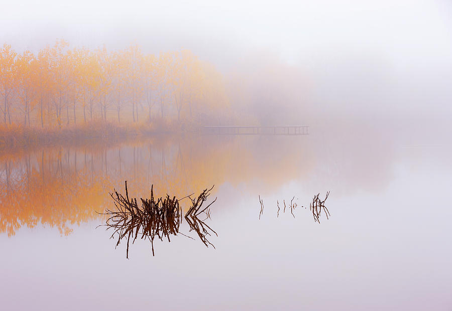 The Silence Of Autumn Photograph by Julien Oncete