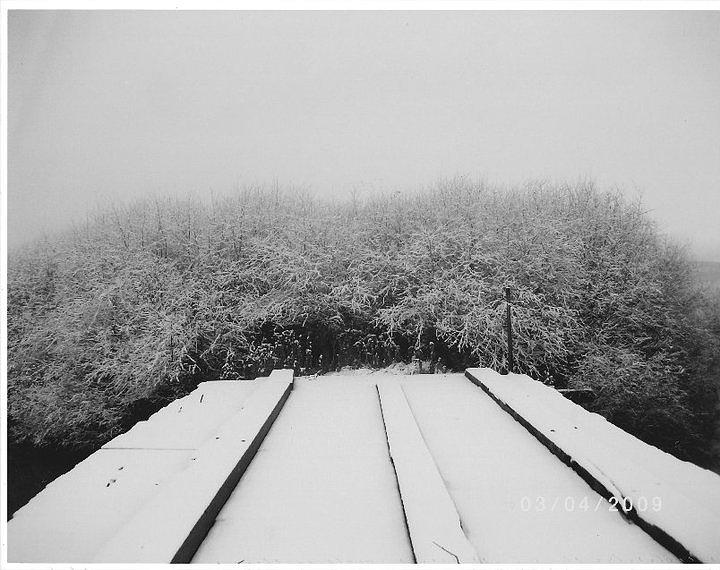 Winter Photograph - The Silence of Winter by James Rishel