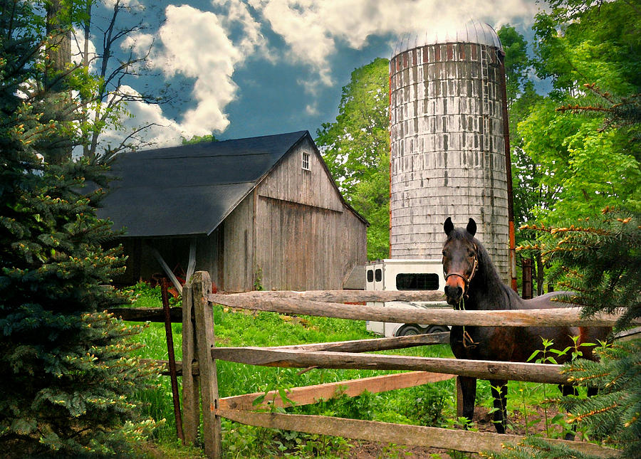 The Silo Horse Photograph by Diana Angstadt