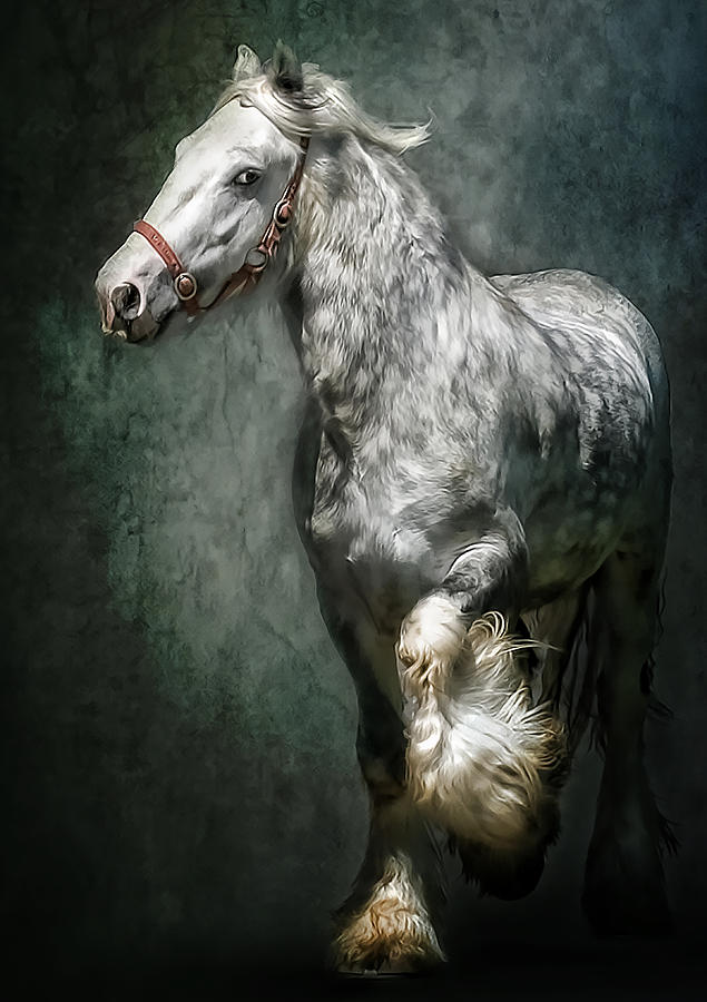 The Silver Gypsy Photograph by Brian Tarr