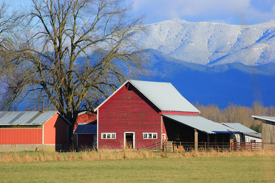 Barn Photograph - The simple things  by Michael Canfield