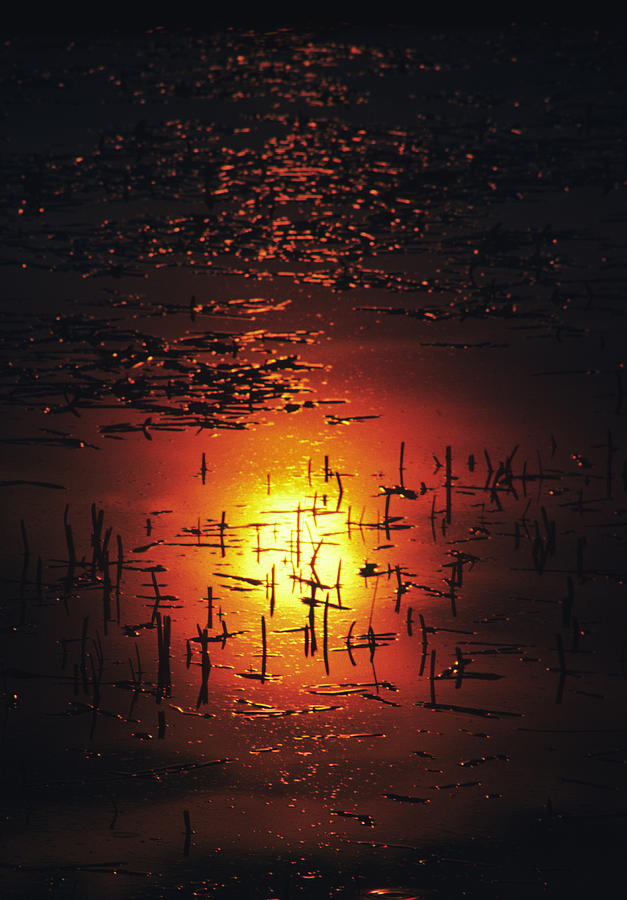 The Sinking Sun Photograph by Gordon James