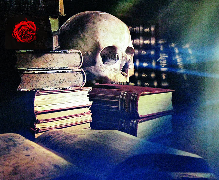The skull the spell book and the rose Photograph by Tom Conway
