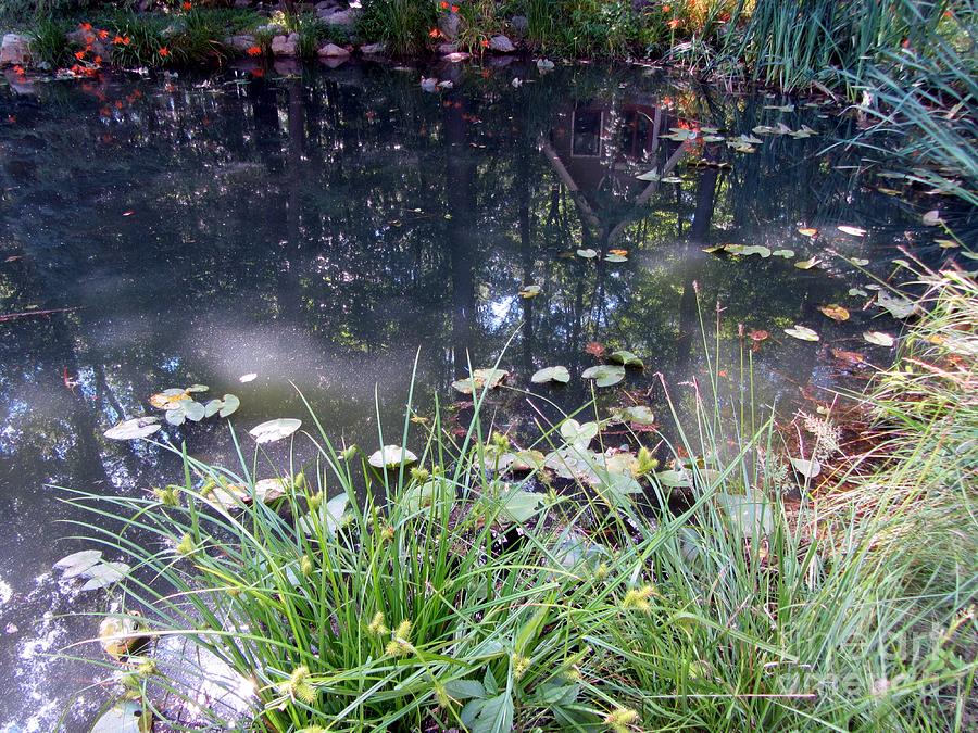 The Sky Is Falling - Pond - Reflections Photograph by Susan Carella