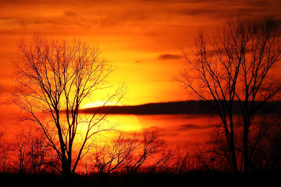 The Sky Is On Fire Photograph by Art of LumiGrafi - Pixels