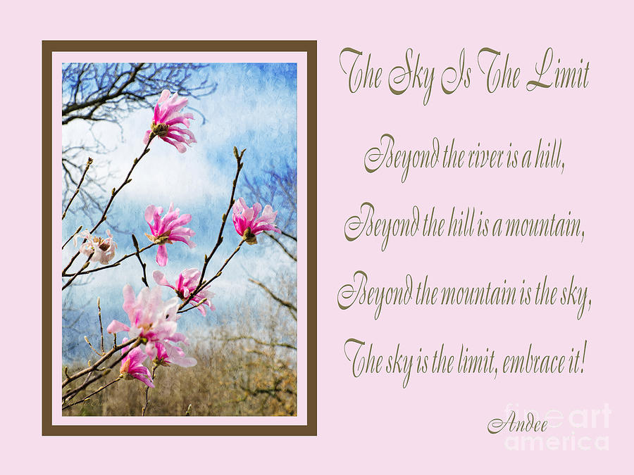 Magnolia Movie Photograph - The Sky Is The Limit H 1 by Andee Design